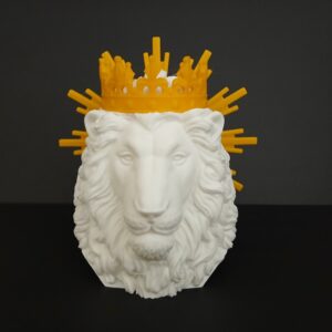 The Lion of Judah